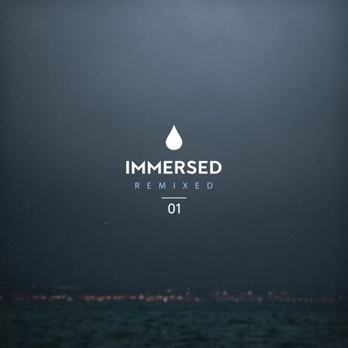 VA - Immersed Remixed 01 [IMMRX001DJ]